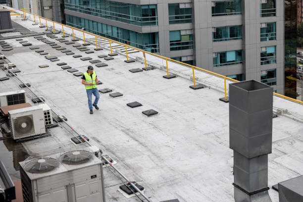 Best Roof Moss and Algae Removal  in Glenn Heights, TX