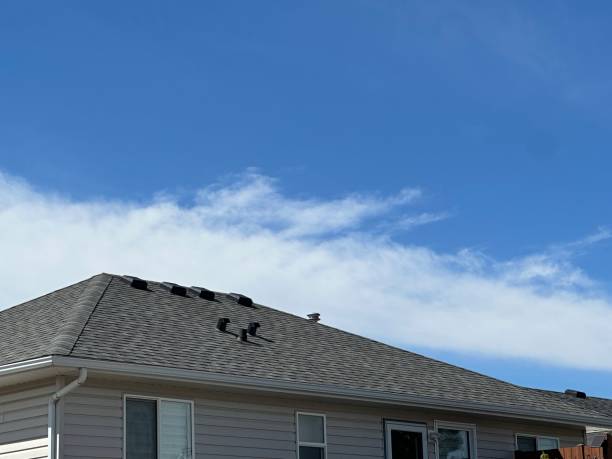 Best Storm Damage Roof Repair  in Glenn Heights, TX